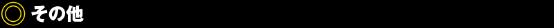 その他